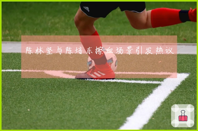 陈林坚与陈培东擦血场景引发热议