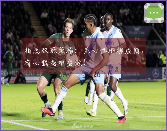 梅总双冠荣耀：无心插柳柳成荫，有心栽花难盛放！