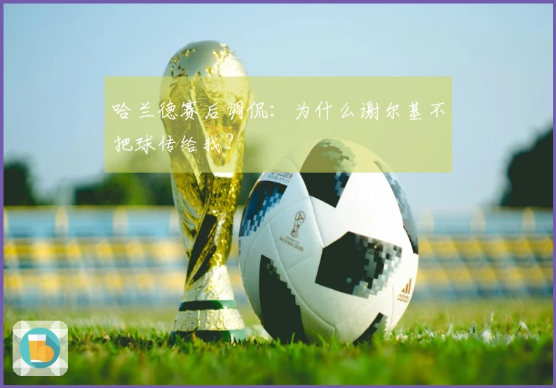 哈兰德赛后调侃：为什么谢尔基不把球传给我？