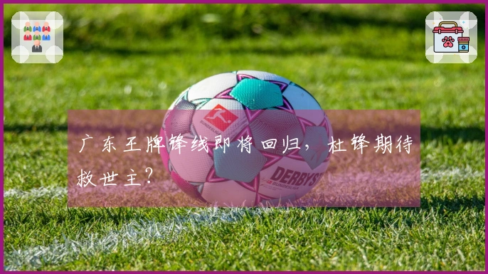 广东王牌锋线即将回归，杜锋期待救世主？