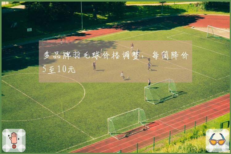 多品牌羽毛球价格调整，每筒降价5至10元