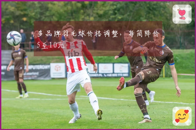 多品牌羽毛球价格调整，每筒降价5至10元